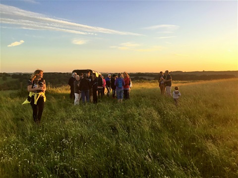 Midsummer Walk