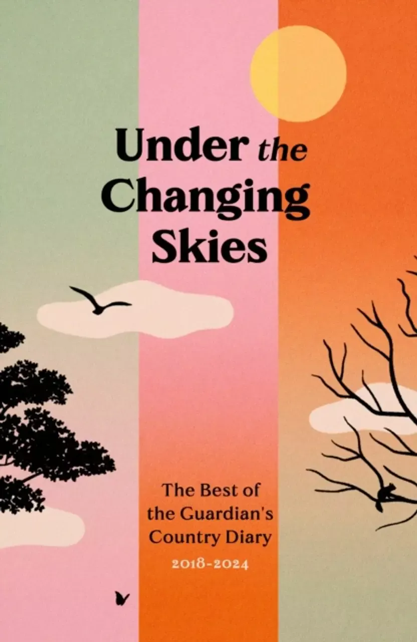 Under Changing Skies cover
